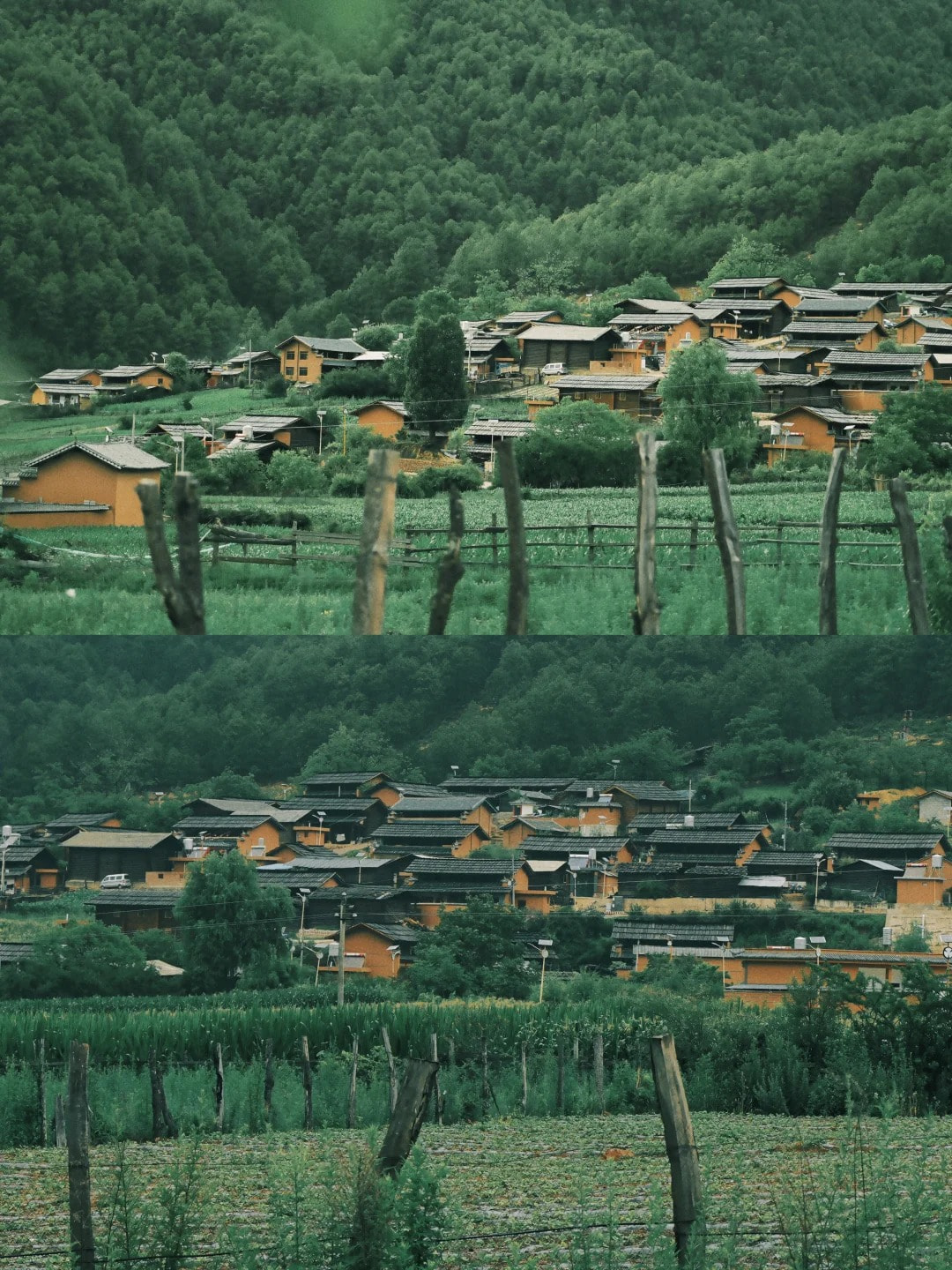 云南旅游,云南旅行社,云南團(tuán)建公司,云南策劃公司,云南會議會展,云南旅游地接,怒江旅游,怒江旅行社,怒江團(tuán)建公司,怒江策劃公司：云南超冷門徒步秘境——怒江羅古箐